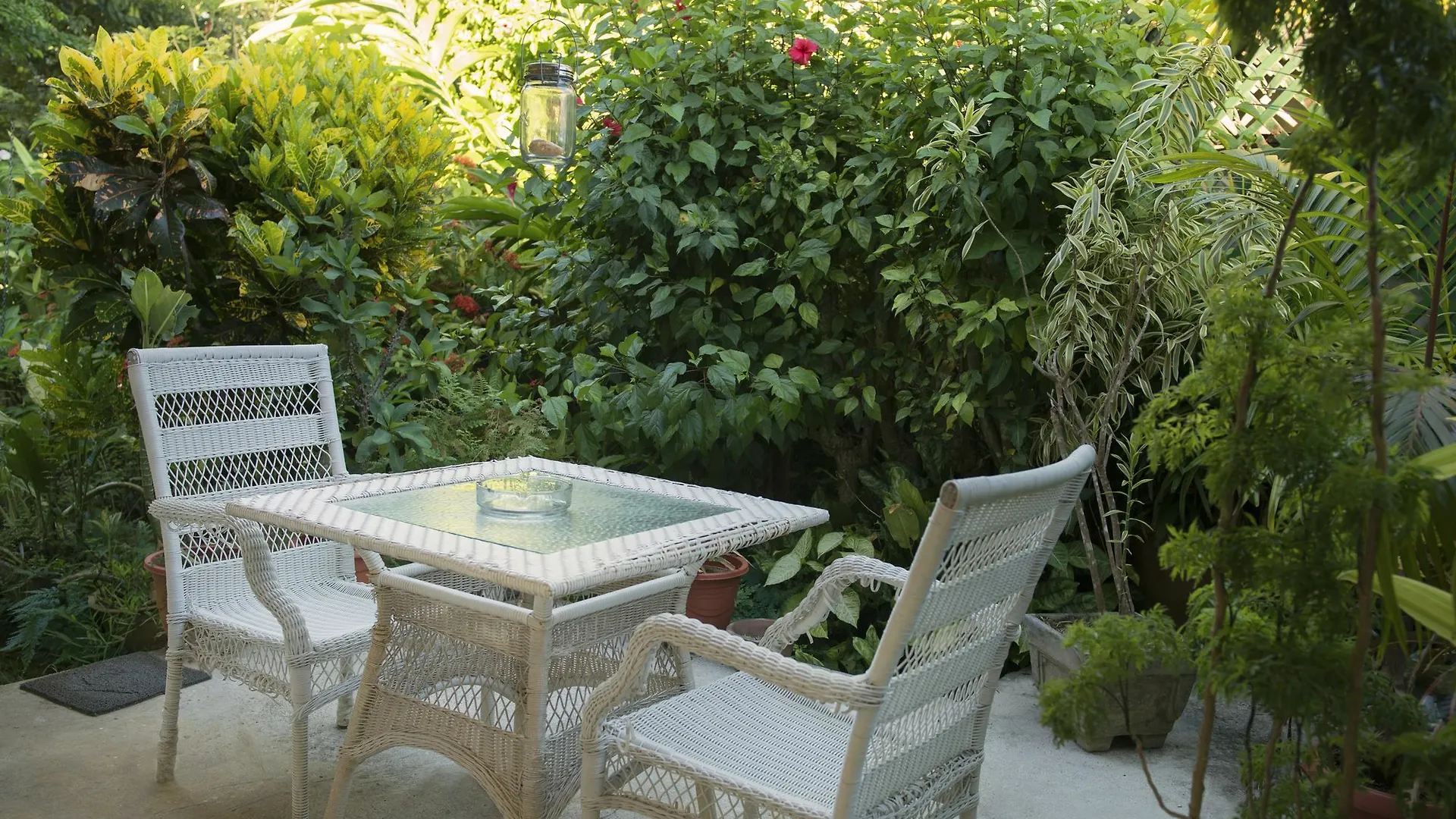 Auberge Chez Plume Anse Boileau 4*,