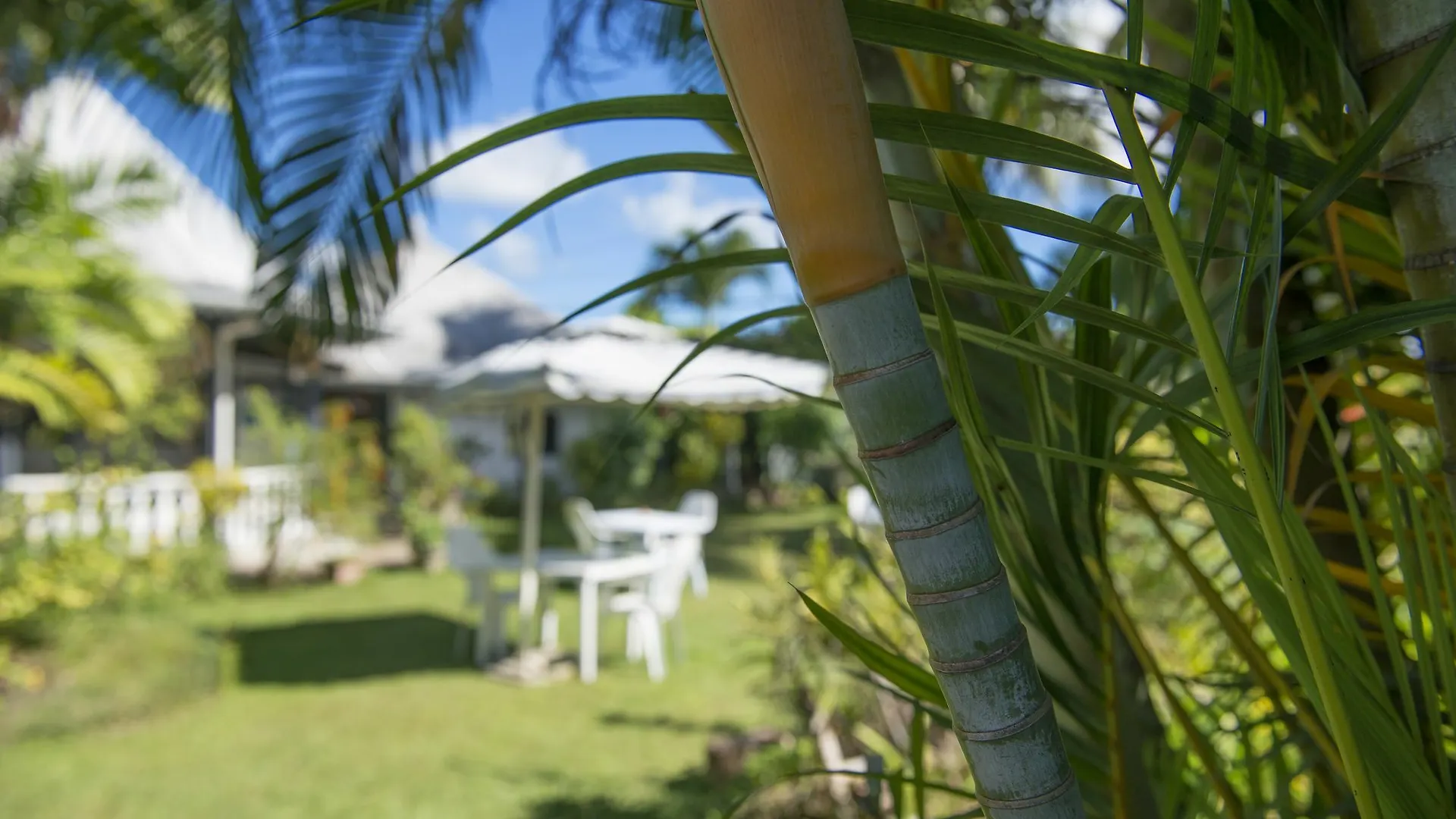 Auberge D'Anse Boileau & Restaurant Chez Plume Hotel